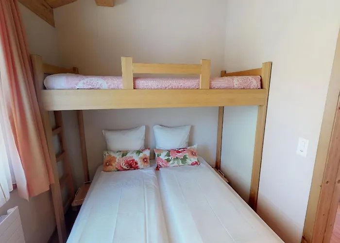 Rosa 3 5 * 萨梅丹